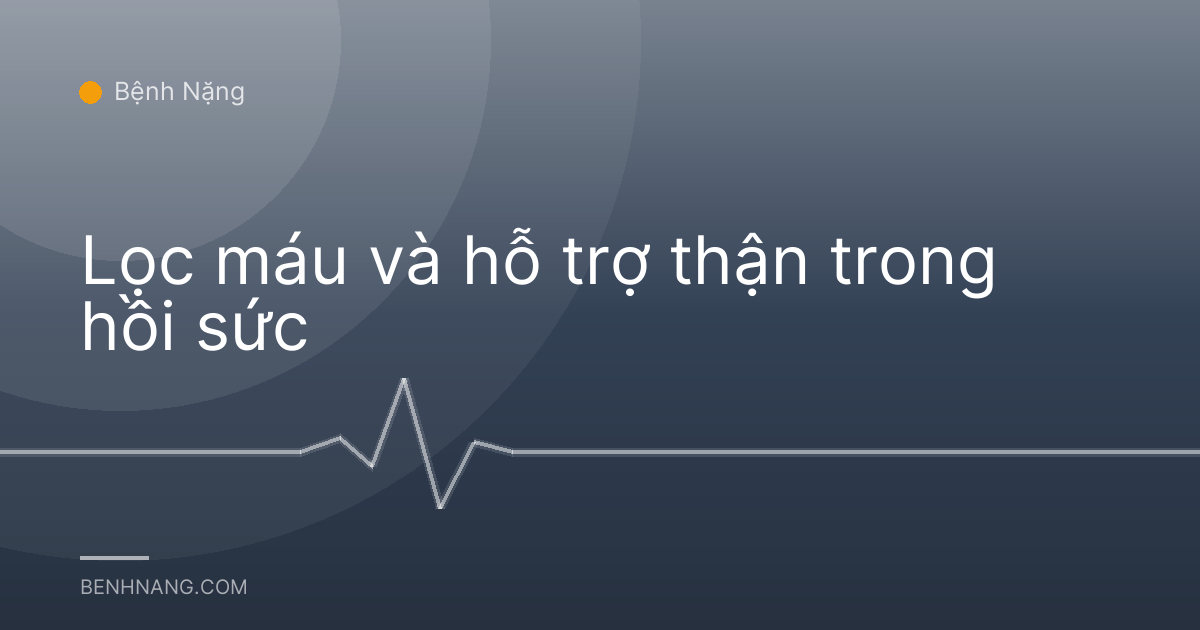 Lọc máu và hỗ trợ thận trong hồi sức